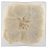 SKELETON LEAVES WIT P/200