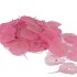SKELETON LEAVES ROZE P/200