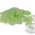 SKELETON LEAVES MISTY GRN P/200