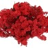 MOS ICELAND ROOD P/DS A 500 GRAM