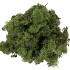 MOS ICELAND MOSGROEN 500 GRAM