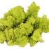 MOS ICELAND SPRINGGRN 500 GRAM