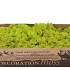 MOS ICELAND SPRINGGRN 500 GRAM