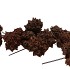PICK NATURE PINE CONE SPIDERGUM BROWN P/40