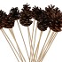 PICK NATURE AUSTRALIANS O/STOK P/20 PC