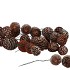 PICK NATURE LEUC MURRI STRENG P/30 PC 2025