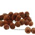PICK NATURE LEUC SABULOSUM STRENG P/40