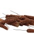 PICK NATURE GRATED FINE FIR P/90