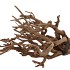 NATURE CURRY BUSH NATURAL 40CM P/500 GRAM NM
