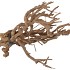 NATURE CURRY BUSH NATURAL 40CM P/500 GRAM NM