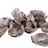PALMCUP WHITEWASH PER 15 STUKS