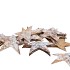 NATUUR KOKOSNOOT SCHAAL STER WIT P/20 10CM