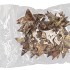 NATURE COCONUT BOWL STAR GOLD P/20 10CM