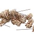 PICK NATURE PINE CONE PUBESCENS WHITE P/100