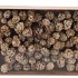 PICK NATURE PINE CONE PUBESCENS WHITE P/100