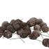 PICK NAT SABULOSUM STONE WH ON WIRE P/100