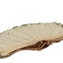 NATURE LOTUS LEAF BIG P/10