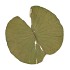 NATURE LOTUS LEAF BIG P/10