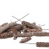 NATURE GRATED FINE SPAR STONEWSH ON WIRE P/75