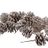 PICK NATURE AUSTRIANS STONEWASHED P/40
