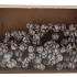 PICK NATURE CYPRESSE STONE WHITE O/DR P/100