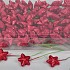 STER STEKER 4CM ROOD PER 108