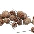 PICK DENNAPPEL MURRI O/DR WIT P/100 ST
