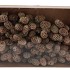 PICK DENNAPPEL MURRI O/DR WIT P/100 ST