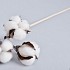 KATOENBOLLEN 3 OP STOK PER 1 L50CM