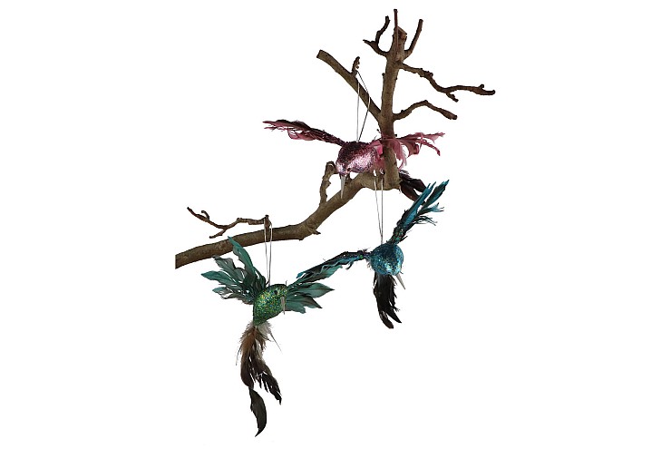DECO SHINE BIRD HUMMING MULTICOLOR 23CM ASS P/1 NM