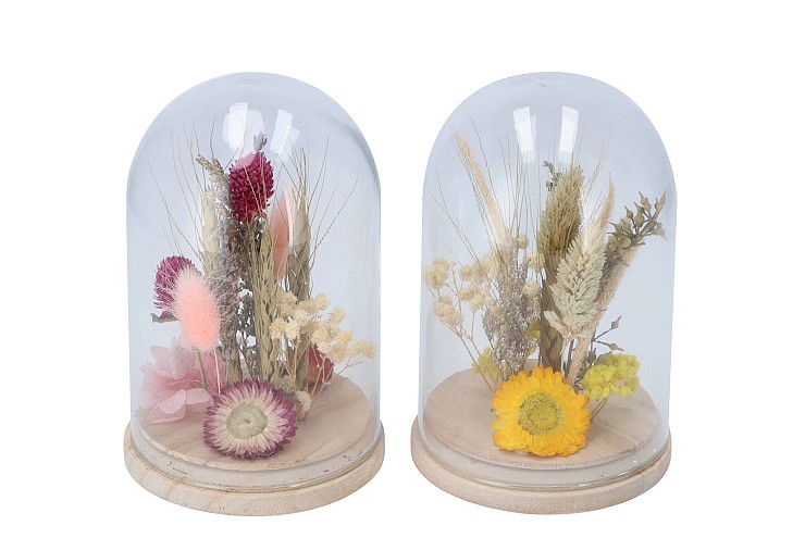 DRY FLOWERS STOLP COLOR MIX 2ASS 10X16CM