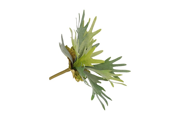 SILK FERN STAGHORN GREEN 36CM