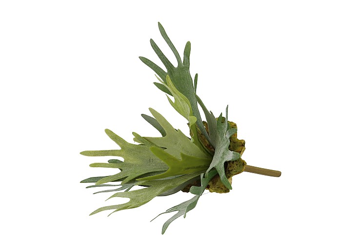 SILK FERN STAGHORN GREEN 36CM