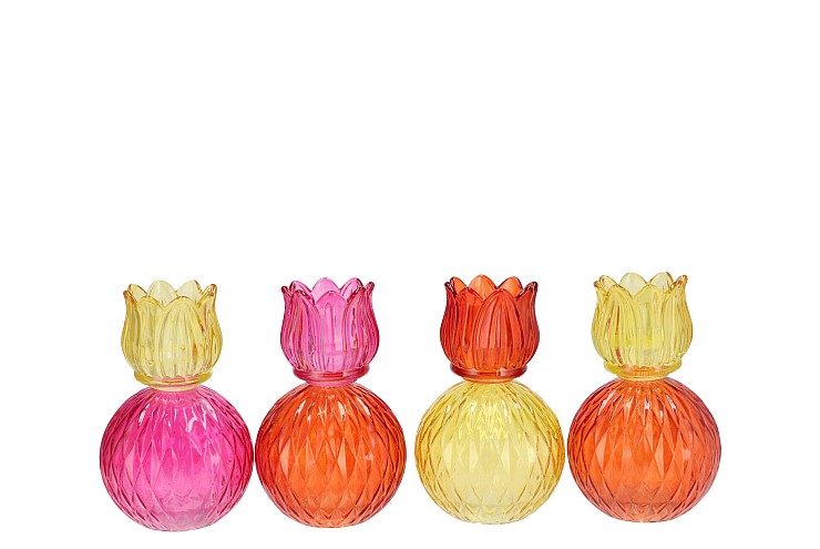 BICOLORE DUTCH ORANGE MIX TULIP T-LIGHT ASS 11X17CM NM