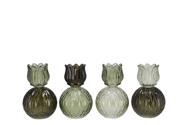 BICOLORE SUMMER GREEN MIX TULIP T-LIGHT ASS 11X17CM NM