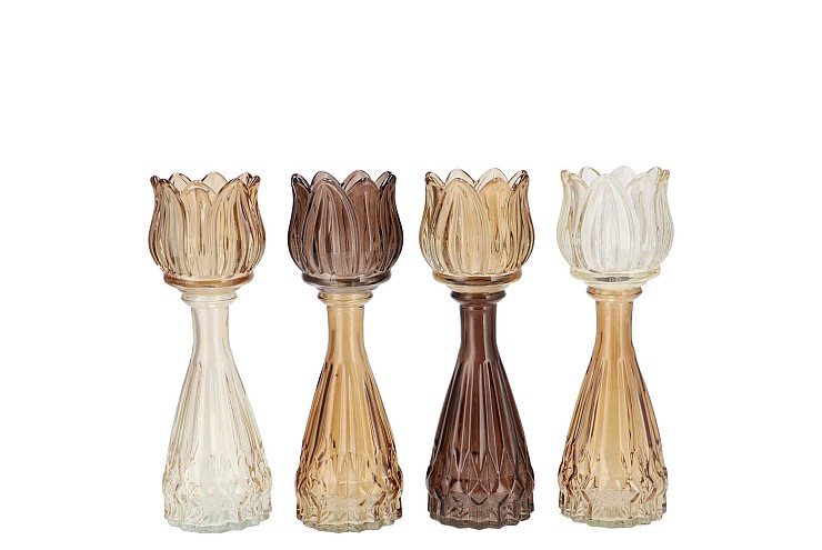 BICOLORE NATURAL BROWN MIX TULIP VASE ASS 7X18CM NM