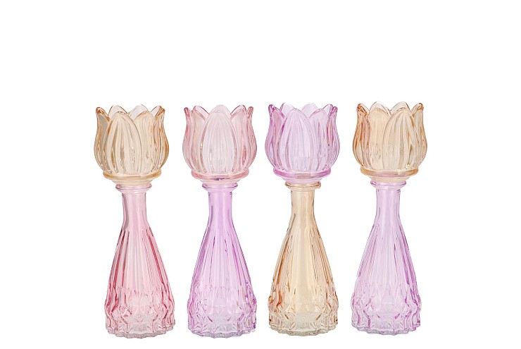 BICOLORE DREAMY PASTEL MIX TULIP VASE ASS 7X18CM