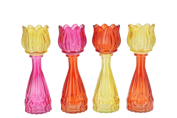 BICOLORE DUTCH ORANGE MIX TULIP VASE ASS 7X22CM NM