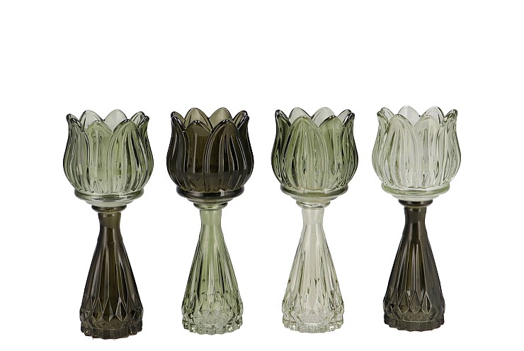 BICOLORE SUMMER GREEN MIX TULIP VASE ASS 7X18CM NM