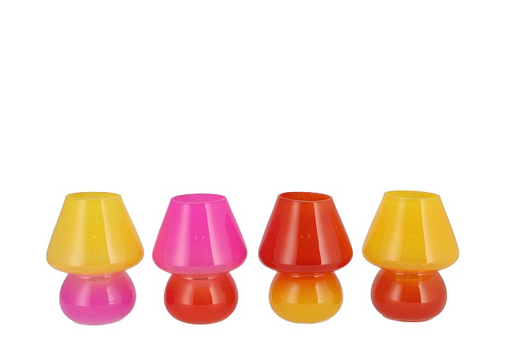 BICOLORE DUTCH ORANGE MIX LED MUSHROOM ASS 12X15CM NM