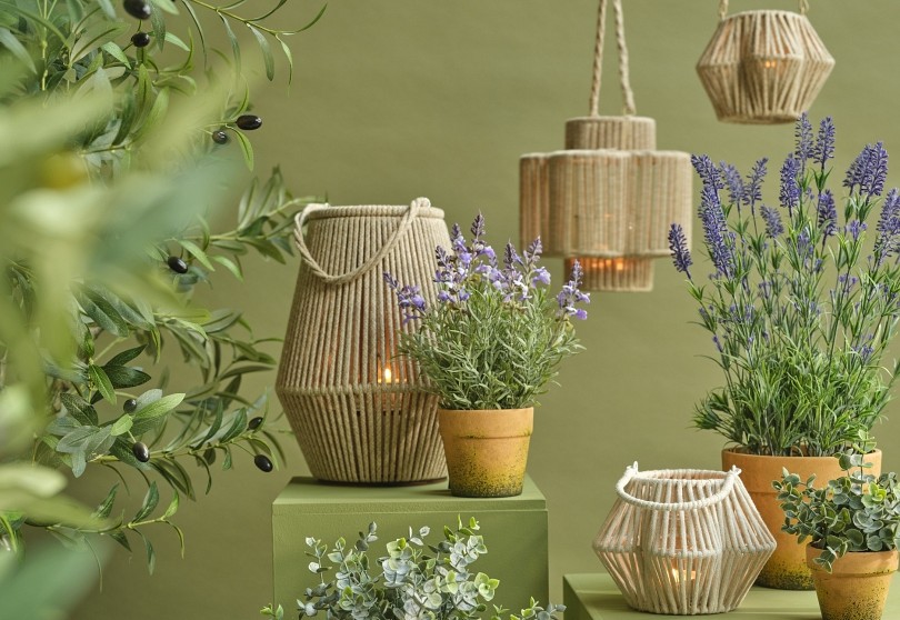 olive graden 10434